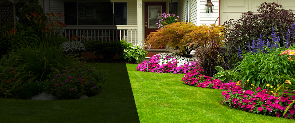 Royston Landscapers