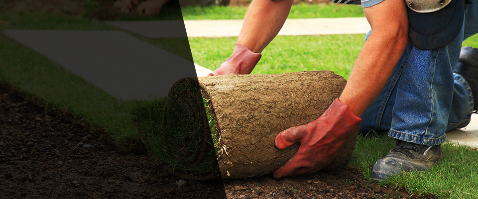 Royston Landscapers